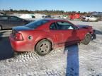 2001 Ford Mustang