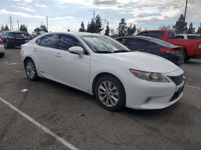 2013 Lexus ES 300H