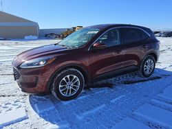 Salvage cars for sale at Brighton, CO auction: 2021 Ford Escape SE