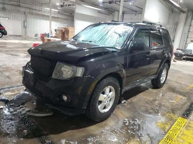 2011 Ford Escape XLT