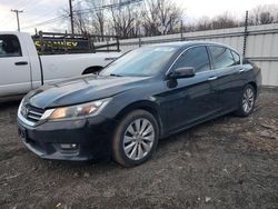 2014 Honda Accord EXL en venta en New Britain, CT