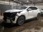 2024 Lexus NX 350 Base