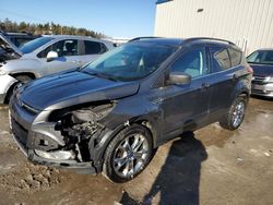 Salvage cars for sale at Franklin, WI auction: 2014 Ford Escape SE