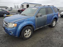 Vehiculos salvage en venta de Copart Airway Heights, WA: 2011 Ford Escape XLT