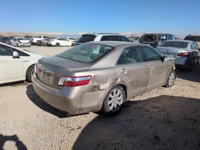 2008 Toyota Camry Hybrid