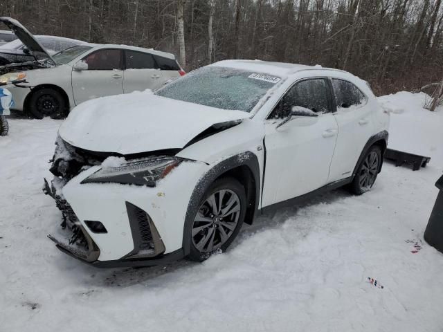 2020 Lexus UX 250H