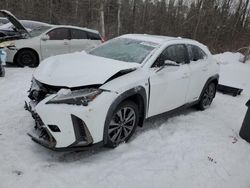 Salvage cars for sale at Cookstown, ON auction: 2020 Lexus UX 250H