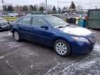 2009 Toyota Camry Hybrid