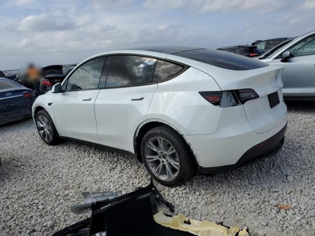 2020 Tesla Model Y