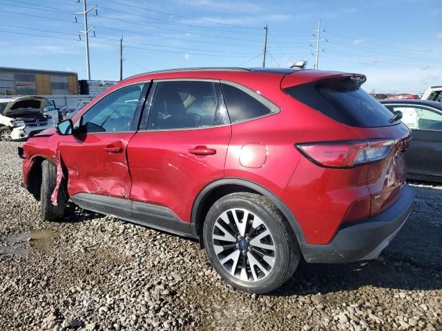 2020 Ford Escape SE Sport