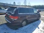 2008 Honda Odyssey EXL