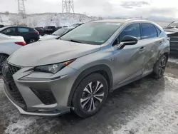 2020 Lexus NX 300 F Sport en venta en Littleton, CO