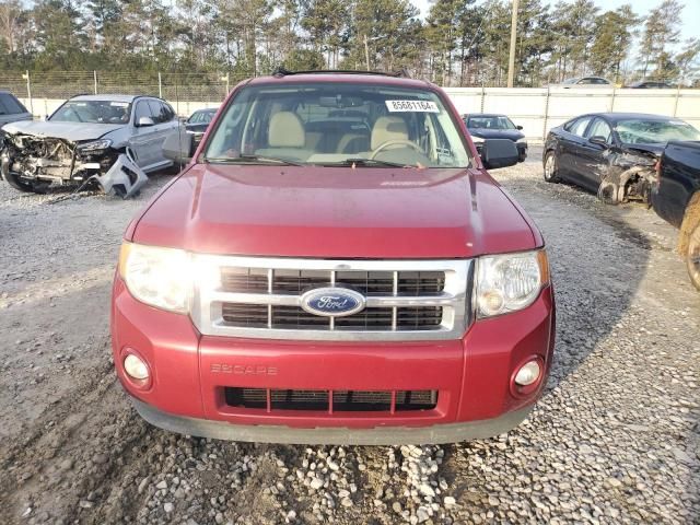 2011 Ford Escape XLT