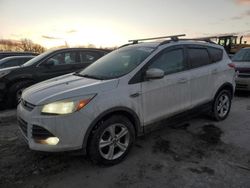 Ford Escape salvage cars for sale: 2014 Ford Escape SE