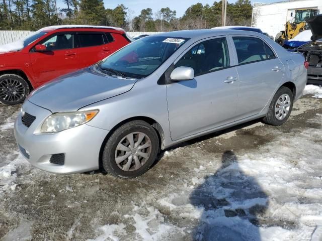 2010 Toyota Corolla Base