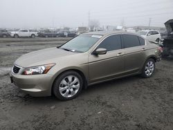 Salvage cars for sale from Copart Eugene, OR: 2010 Honda Accord EXL