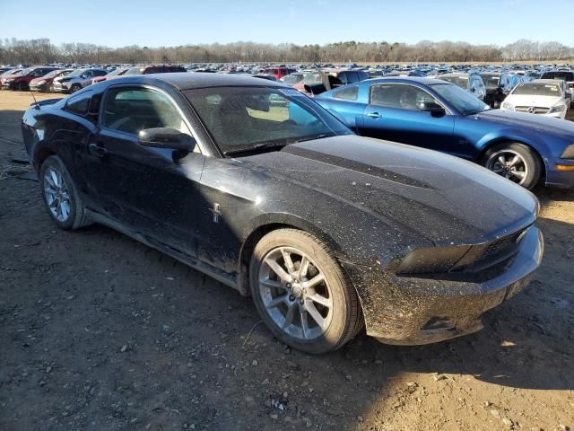 2010 Ford Mustang