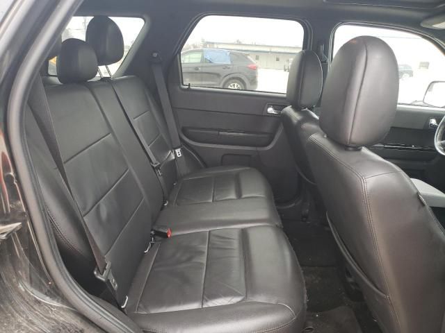 2011 Ford Escape Limited