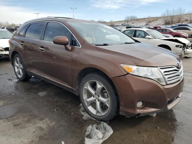 2009 Toyota Venza