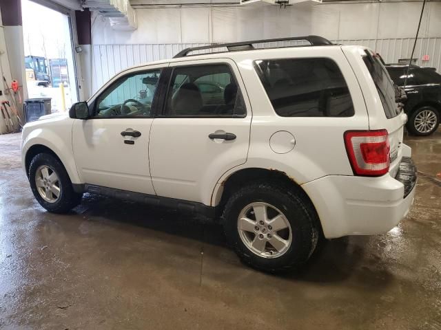 2011 Ford Escape XLT