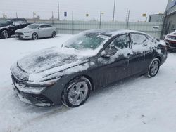 Salvage cars for sale at Colorado Springs, CO auction: 2024 Hyundai Elantra SE