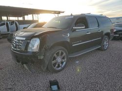 Salvage cars for sale at Phoenix, AZ auction: 2008 Cadillac Escalade ESV