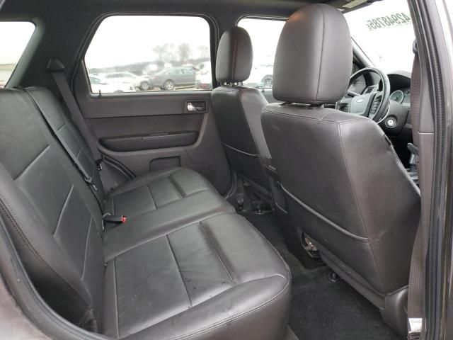 2011 Ford Escape Limited