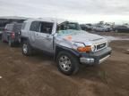 2007 Toyota FJ Cruiser