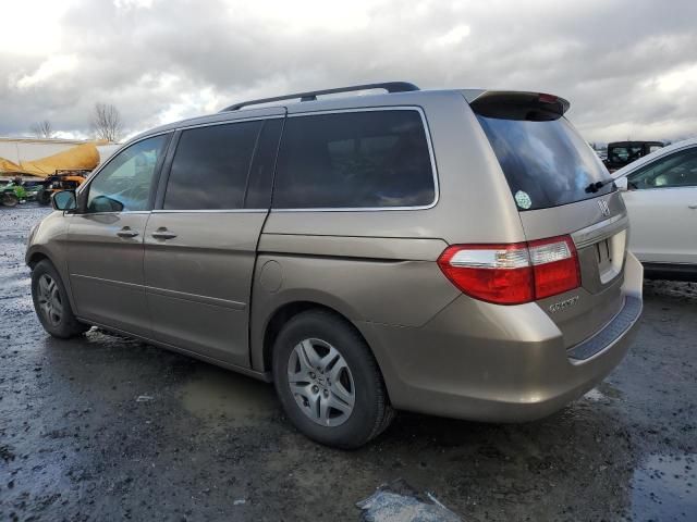 2007 Honda Odyssey EXL