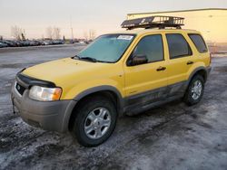 Salvage cars for sale at Rocky View County, AB auction: 2002 Ford Escape XLT