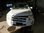 2008 Ford Escape Limited