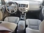 2005 Ford Escape XLT