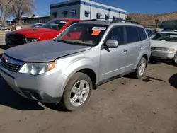 Salvage cars for sale at Albuquerque, NM auction: 2010 Subaru Forester 2.5X Limited