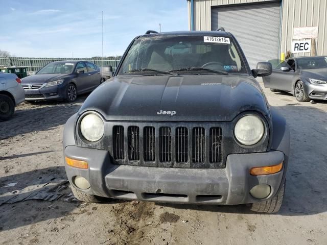 2002 Jeep Liberty Sport