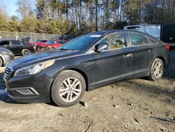 Salvage cars for sale at Waldorf, MD auction: 2016 Hyundai Sonata SE