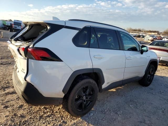 2019 Toyota Rav4 LE