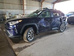 Salvage cars for sale at auction: 2019 Toyota Rav4 XLE Premium