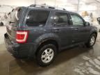 2009 Ford Escape Limited