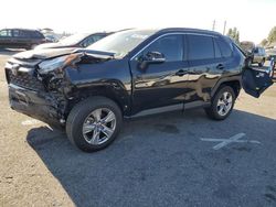 Salvage cars for sale at Rancho Cucamonga, CA auction: 2023 Toyota Rav4 XLE