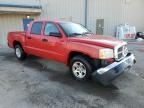 2005 Dodge Dakota Quad SLT