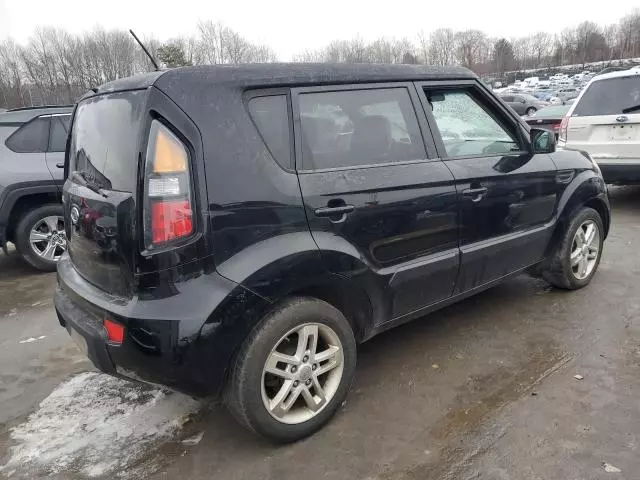 2011 KIA Soul +