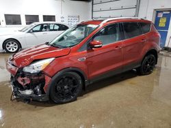 Salvage cars for sale at Blaine, MN auction: 2014 Ford Escape Titanium