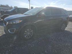 Run And Drives Cars for sale at auction: 2017 KIA Sorento LX