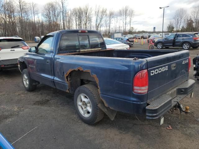 2000 Dodge Dakota