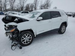 Salvage cars for sale at Cicero, IN auction: 2014 Jeep Cherokee Latitude