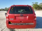 2011 Ford Escape XLS