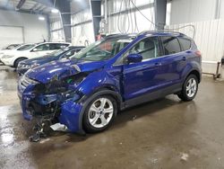 Salvage cars for sale at Ham Lake, MN auction: 2014 Ford Escape SE