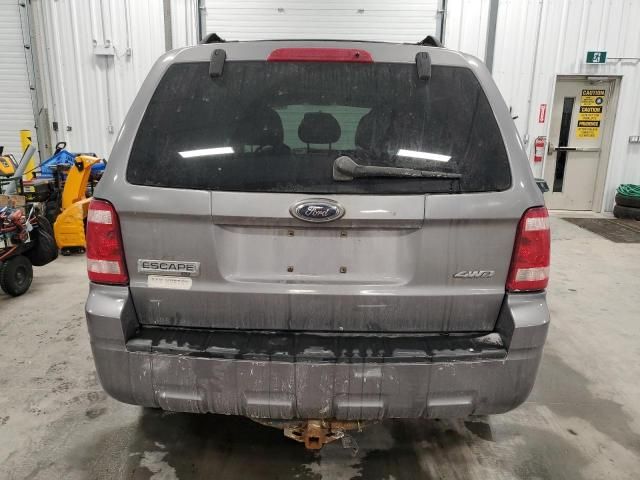 2008 Ford Escape XLT