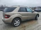 2008 Mercedes-Benz ML 350