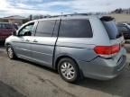 2008 Honda Odyssey EX